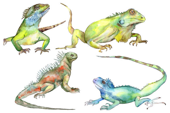 4 Iguanas Watercolor: A Branding Review