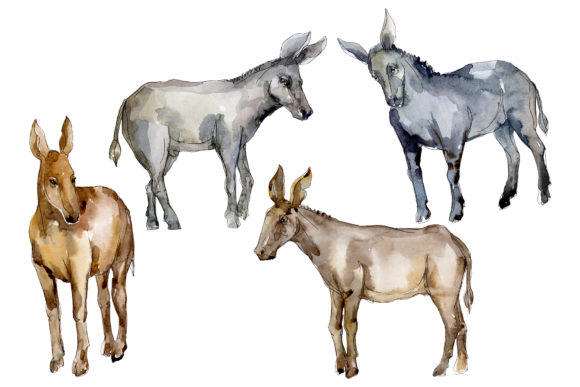 Agriculture Donkey Watercolor Embroidery Review