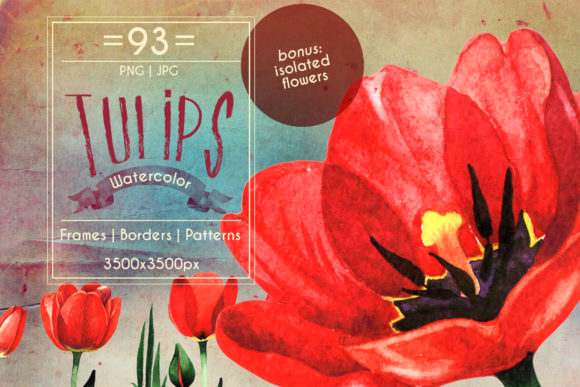 Amazing Tulips PNG Watercolor Flower Set Review