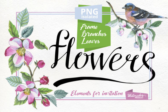 Apple Blossom PNG Flowers Watercolor Set Review