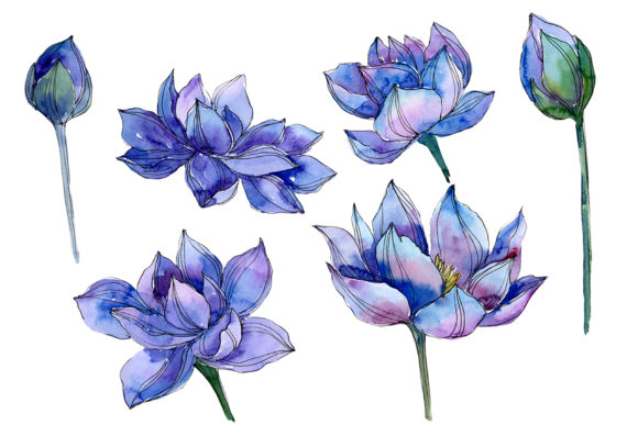 Blue Watercolor Lotus Flower: A Designer Review