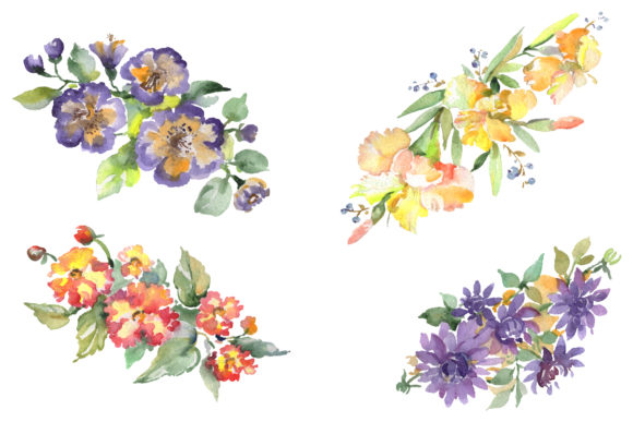 Bouquet Hoverla Watercolor Illustrations