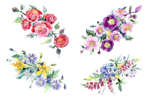 Bouquet of Flowers Colombo Watercolor Illustrations