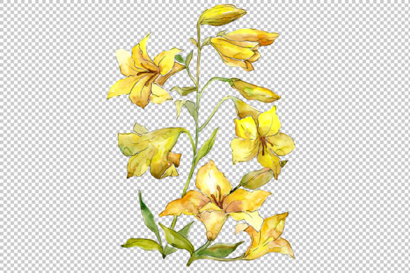 Bouquet of Yellow Lilies Watercolor Flower Set Review