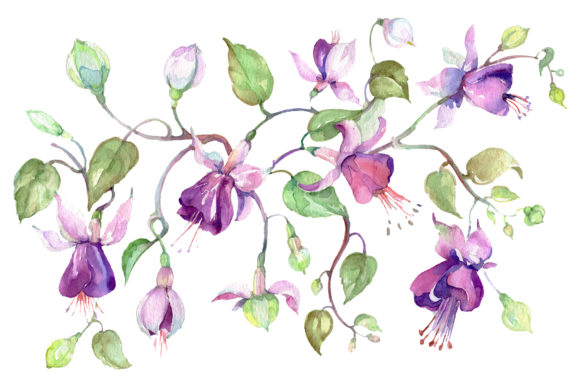 Bouquet Silver Jingle Watercolor Illustrations