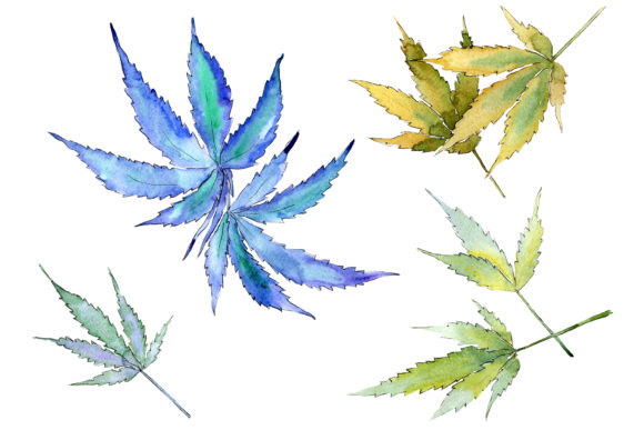 Cannabis Leaves PNG Watercolor Set Illustrations