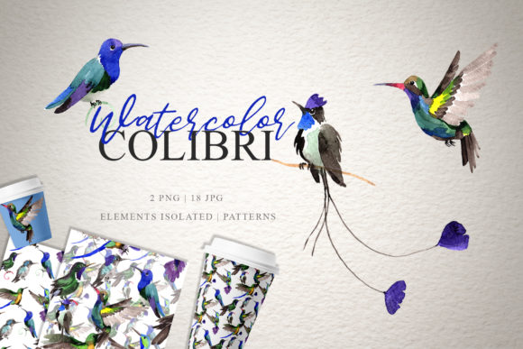 Colibri Watercolor Illustrations Review