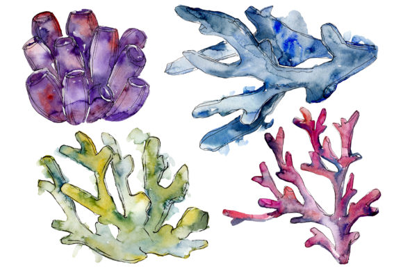 Corals Seascape Watercolor PNG Illustrations