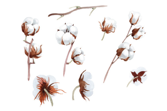Cotton Soft Flower Watercolor Set Review