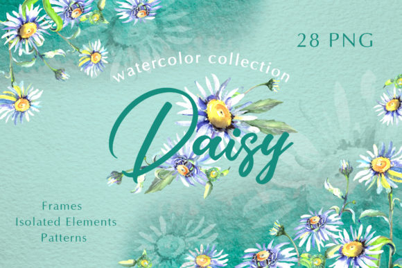 Daisy Flower Green Watercolor Png & Illustrations