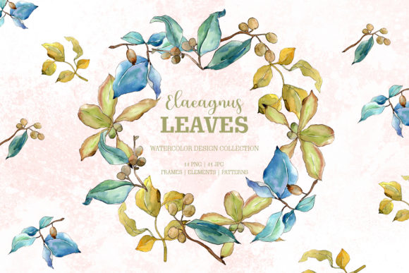 Elaeagnus Leaves Watercolor Png for Illustrations
