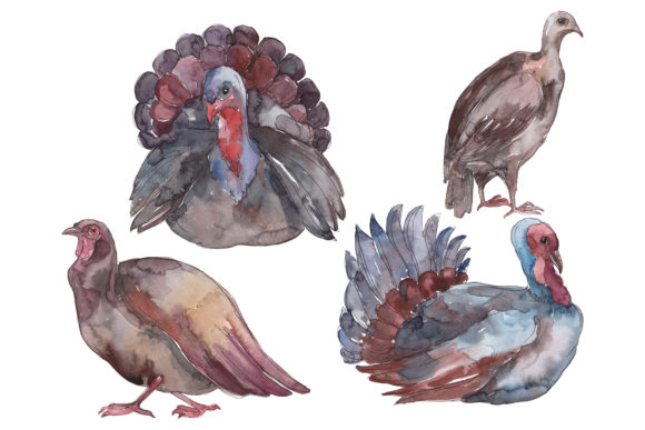 Farm Animals Turkey Watercolor Png Review