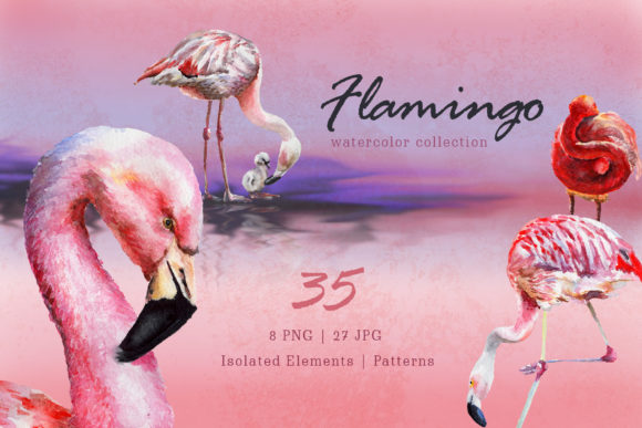 Flamingo Watercolor Png: Brand Illustrations Review