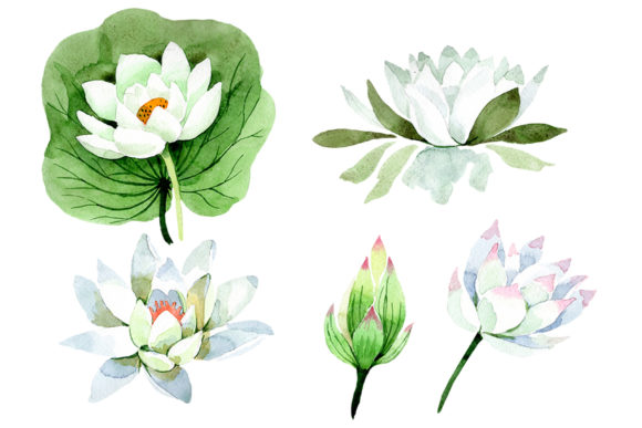 Flower White Lotus Watercolor Embroidery Review