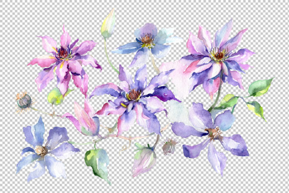 Gentle Purple Flowers Watercolor PNG Illustrations