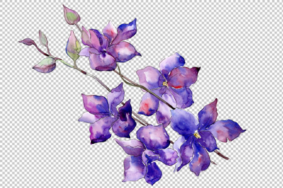 Purple Flowers Watercolor Set: Illustrations Review