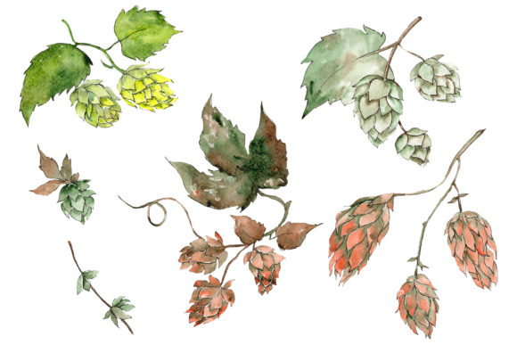 Review: Hops Plant Watercolor Embroidery Design