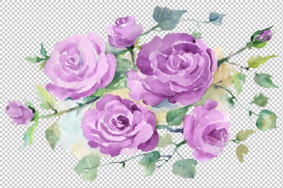 Reviewing Bouquet with Purple Roses Watercolor