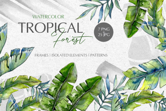 Tropical Forest Watercolor Illustrations Review