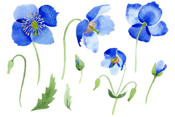 Ultramarine Poppies Blue Flower Watercolor