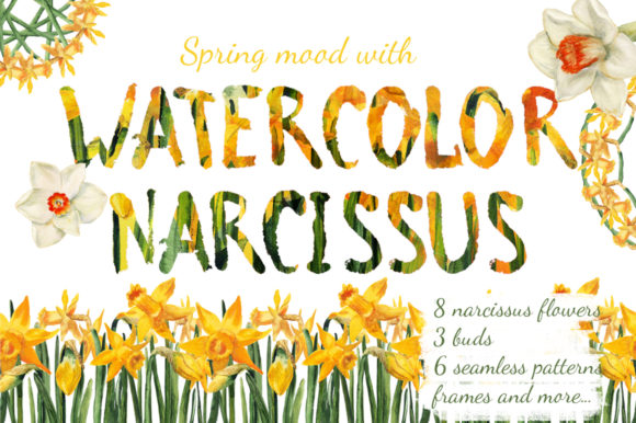 Watercolor Narcissuses: A Designer's Review