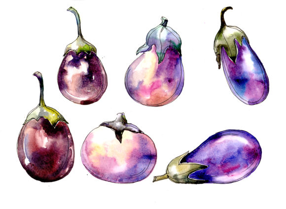 Watercolor Purple Eggplant Vegetable Set Illustrations