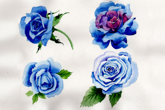 Wildflower Blue Rose Watercolor Set Illustrations