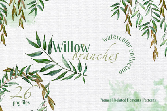 Willow Branches Watercolor Png & Illustrations